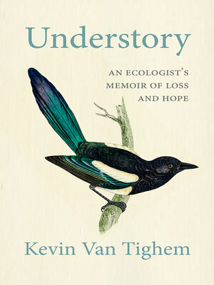 cover image of Understory